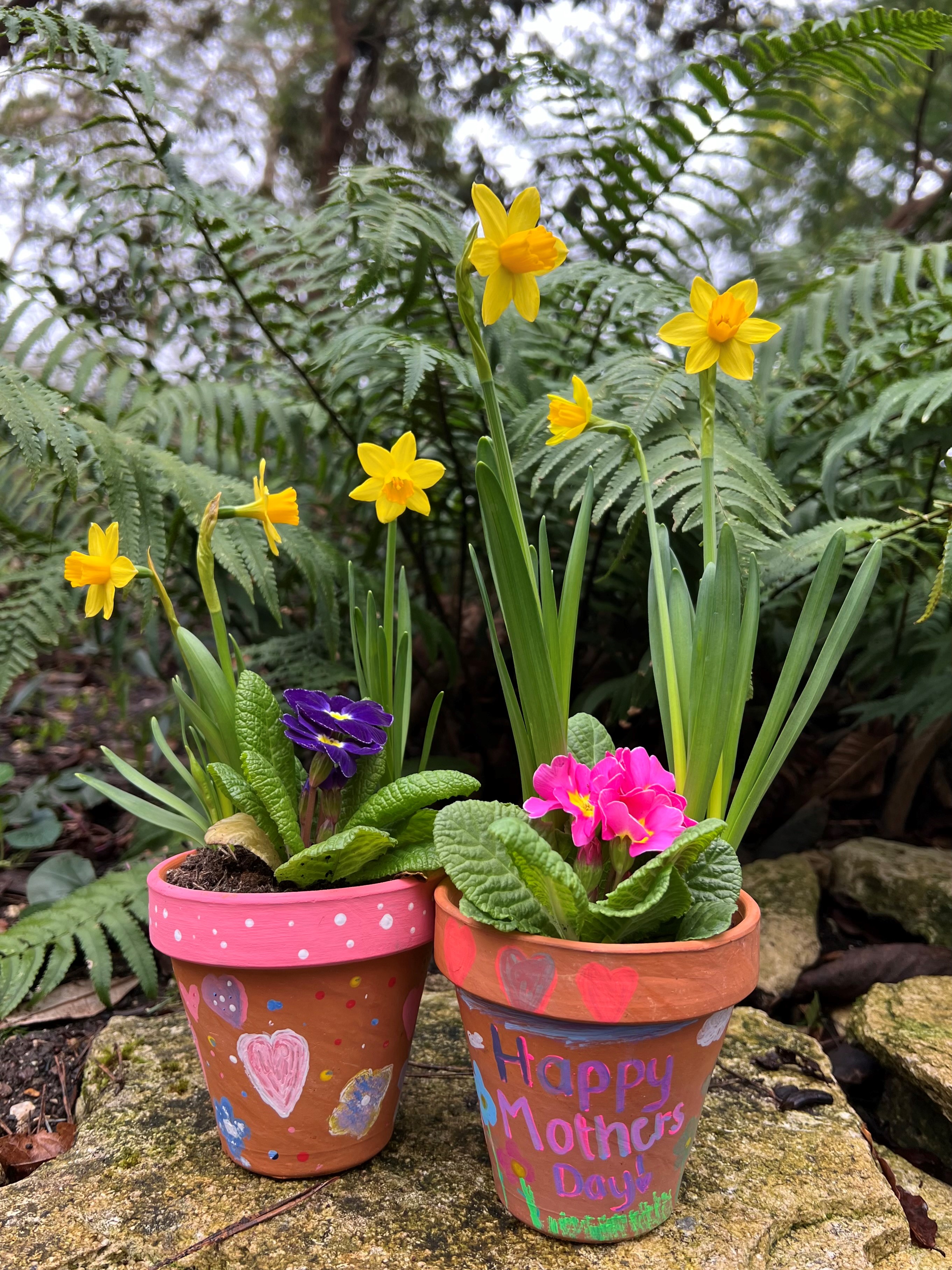 Mothers day pot